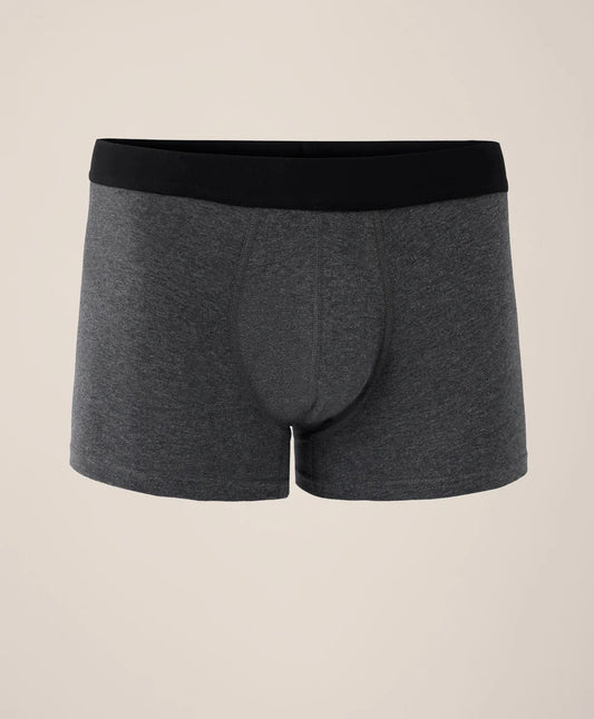 everyday trunk